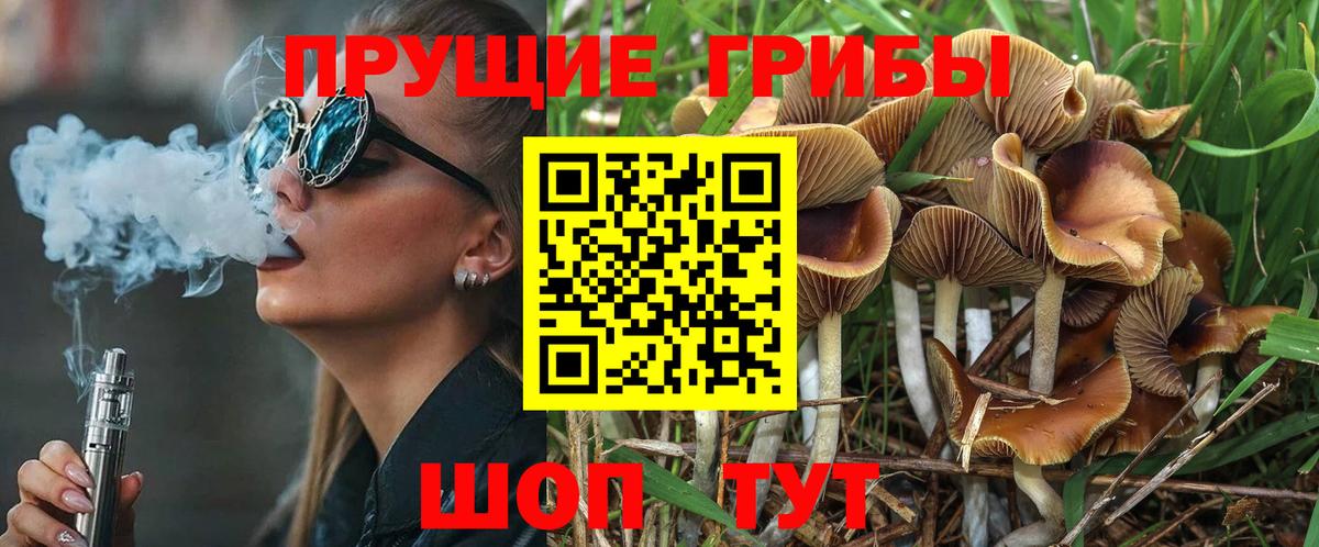 Псилоцибиновые грибы прущие грибы Туапсе
