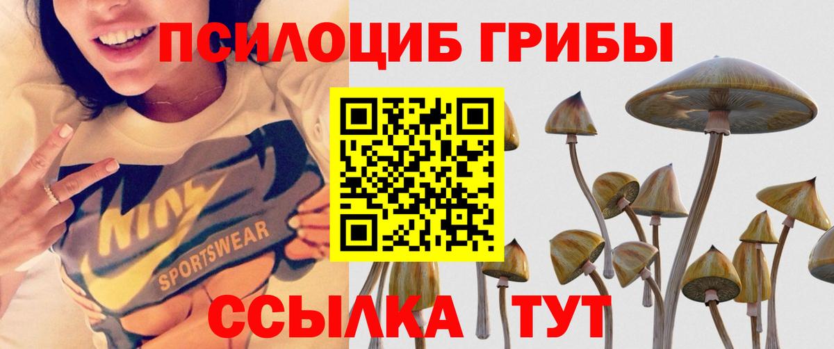 Псилоцибиновые грибы Psilocybine cubensis  Вход с VPN  Туапсе 